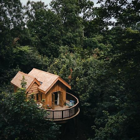Wildhive Callow Hall Ashbourne  Exteriér fotografie