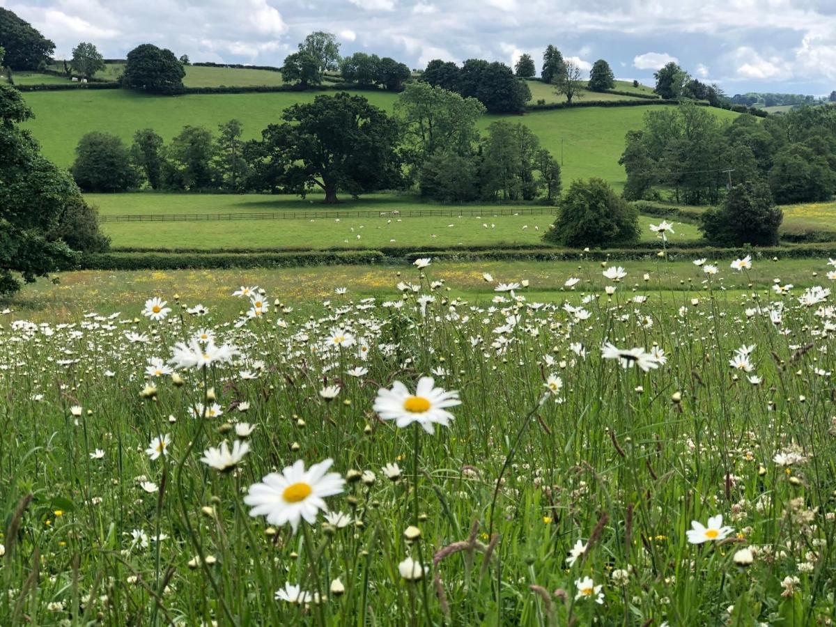 Wildhive Callow Hall Ashbourne  Exteriér fotografie