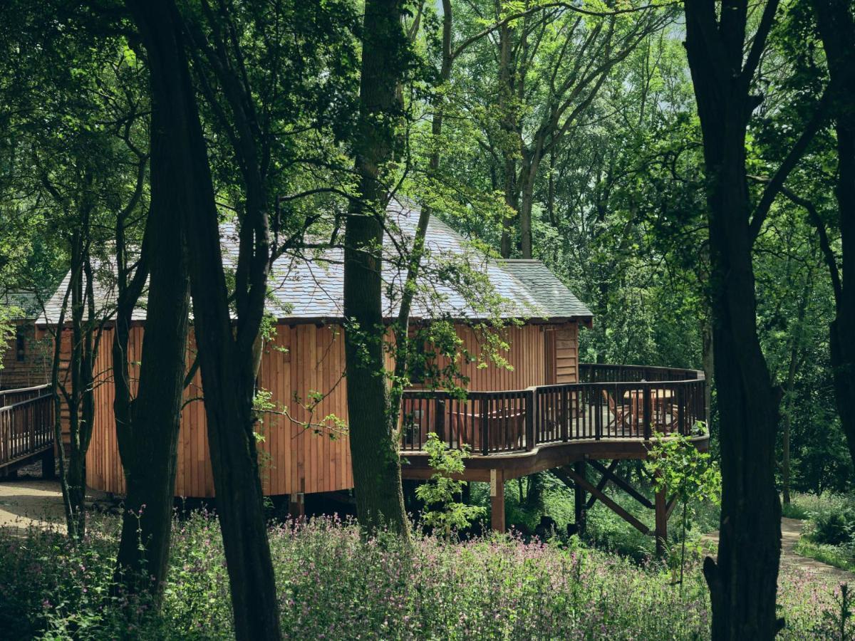 Wildhive Callow Hall Ashbourne  Exteriér fotografie